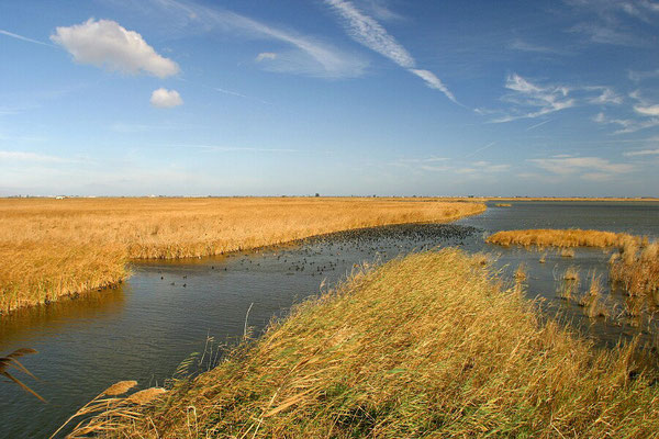 The Elbro Delta National Park - European Destinations of Excellence - European Best Destinations 