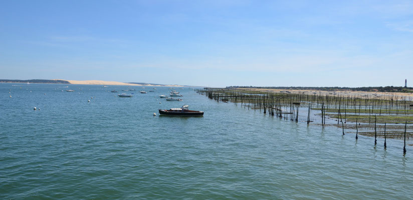 Cap-Ferret