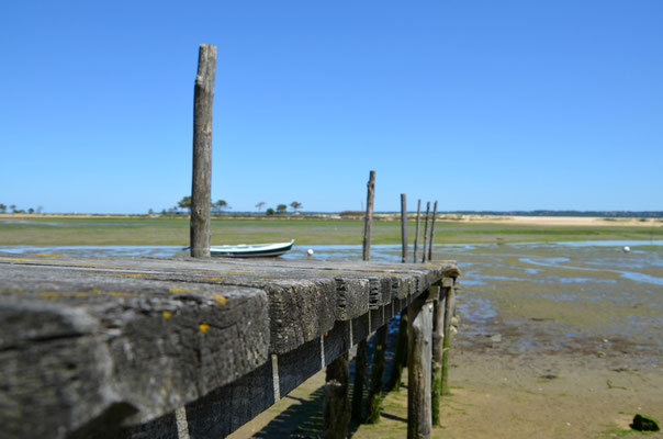 Cap-Ferret