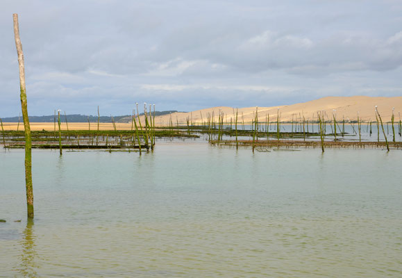 Oyster-farm-Arcachon