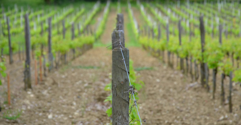Chateau-Coutet-Saint-Emilion