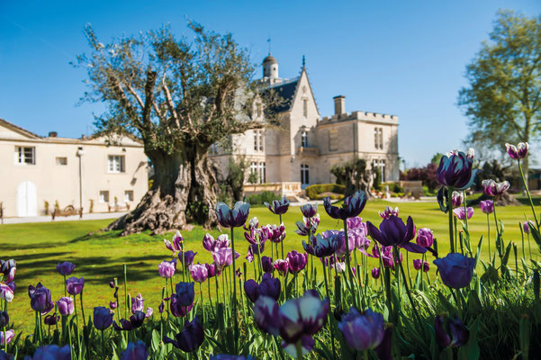 Chateau-Pape-Clement-Bordeaux