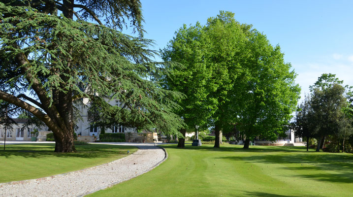 Chateau-Pape-Clement-Bordeaux ©EBD