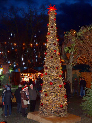 Best Christmas Markets in Germany -  Rüdesheim Christmas Market Copyright Rüdesheim Tourist Centre