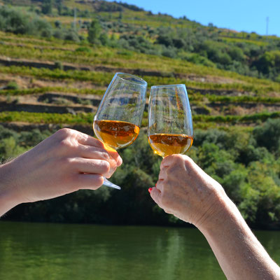 Douro Valley Cruise with FeelDouro © European Best Destinations