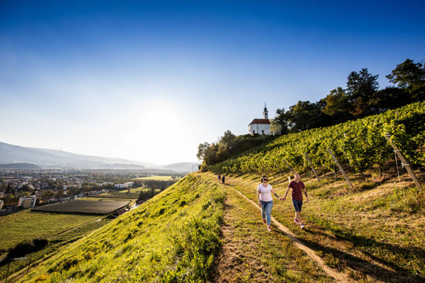 Maribor Vineyards  - European Best Destinations - Best Destinations in Slovenia - Best Destinations in Europe - Copyright VisitMaribor - 