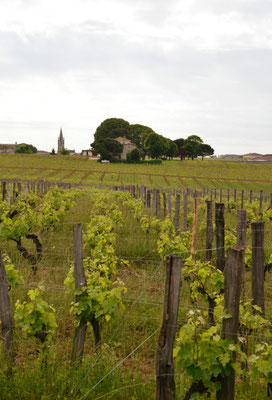 Chateau-Coutet-Saint-Emilion