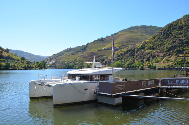 Douro Valley Cruise with FeelDouro © European Best Destinations