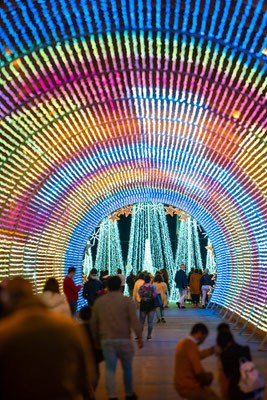 Christmas in Funchal, Madeira - Copyright Visit Madeira Nuno Andrade