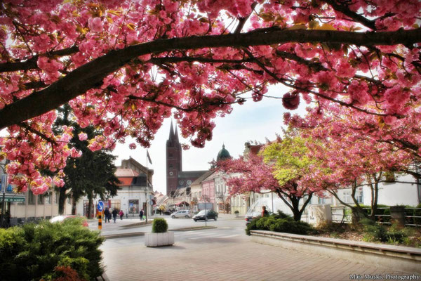 Dakovo - Sustainable tourism in Europe - European Best Destinations -EDEN