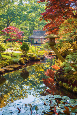 Japanese Garden in Clingendael Park by ariadna de raadt