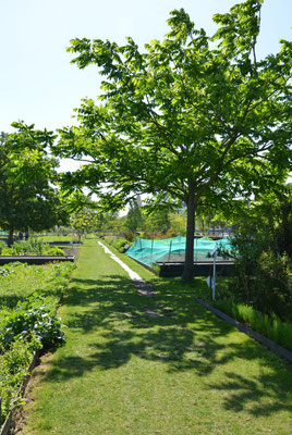 Bordeaux-Botanical-Garden