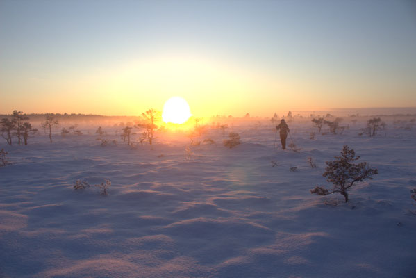 Soomaa National Park - European Destinations of Excellence - European Best Destinations - Copyright Soomaa.com