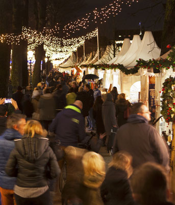 The Hague Christmas Market - Best Christmas Markets in Europe - European Best Destinations