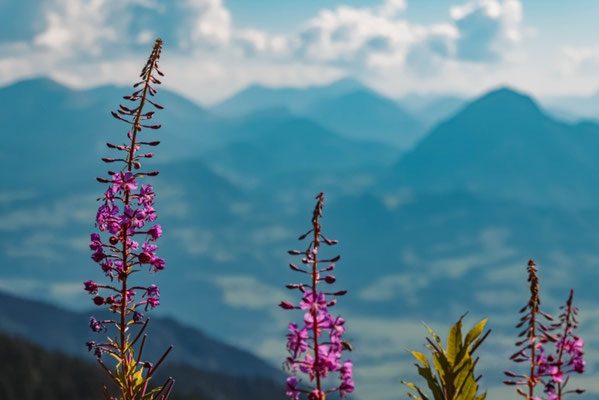 Bavaria - European  Best Destinations Copyright Martin Erdniss