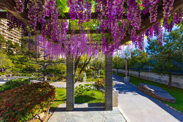 Monaco European Best Destinations  - Japanese Garden ©BVergely 