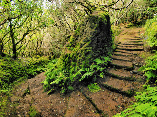 Tenerife - Anaga mountains copyright Karol Kozlowski