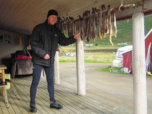 Stockfish beim trocknen