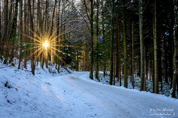 Blendenstern, Üetliberg