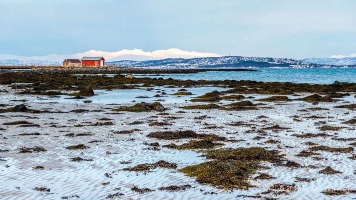 Fjord bei Ebbe