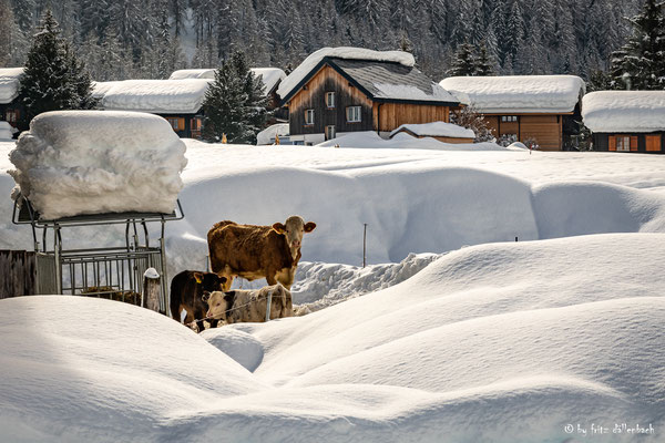 Schnee, Goms