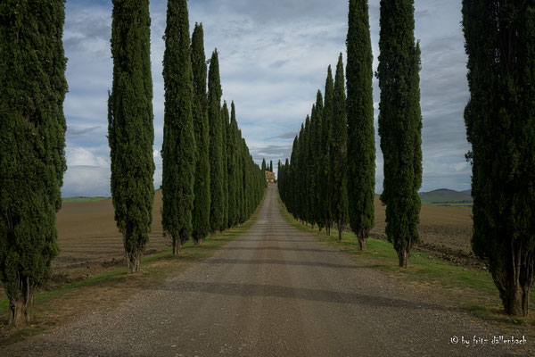 Allee, Toscana