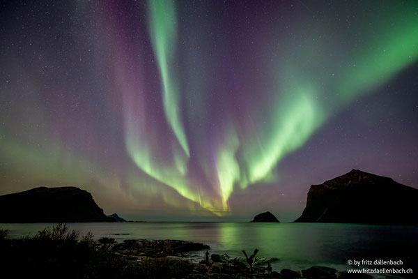 Nordlicht, Lofoten Island