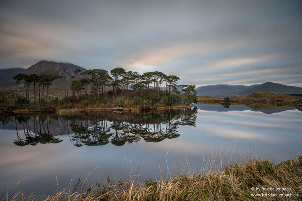 Reflektionen, Irland