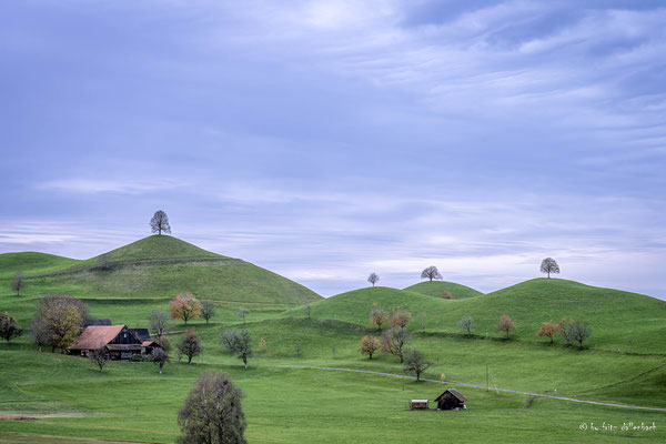 Drumlins, Hirzel