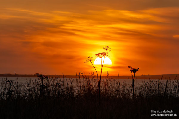 Sonnenuntergang, Island