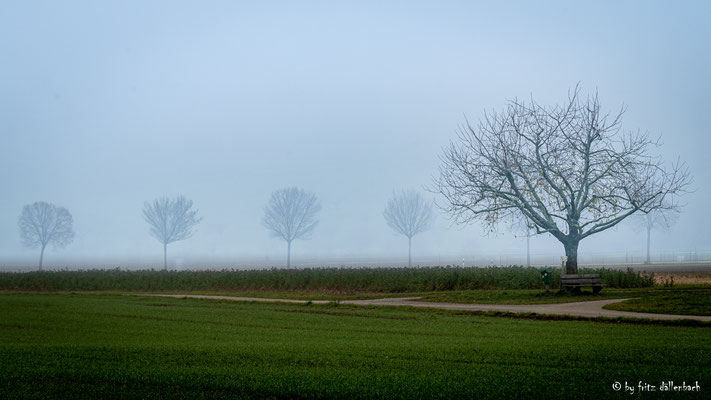 Nebel, Aargau