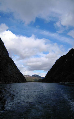 der Trollfjord