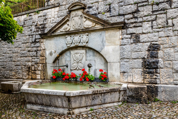 Brunnen, Regensberg