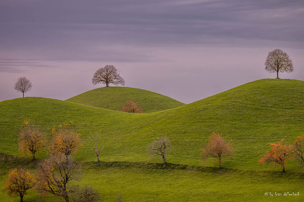 Drumlins, Hirzel