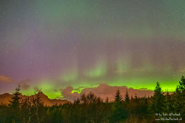 Nordlichter, Leknes Lofoten