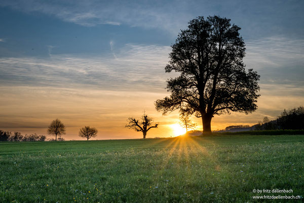 Morgenstimmung, Baselland
