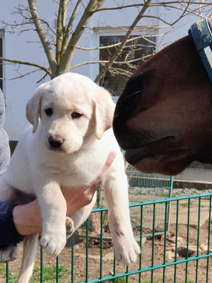 Heidi und Hope