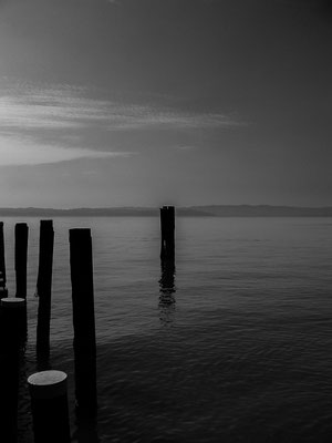 Neusiedlers