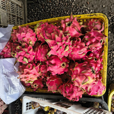 Drakenfruit (pitaja of pithaya)
