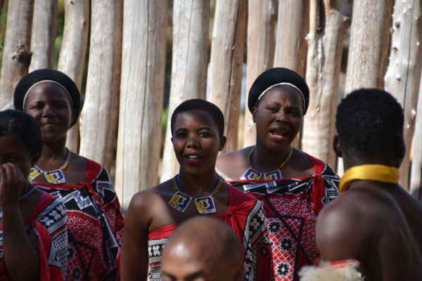 Er wordt gedansten en er wordt gezongen in Cultural Village Mantenga