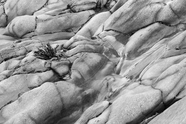 am Strand von Djupalonssandur