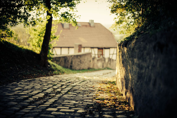 Fotograf: Sebastian Bisch