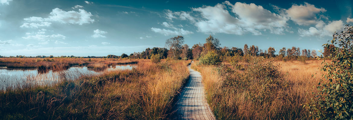 Panoramablick über das Ewige Meer in Ostfriesland
