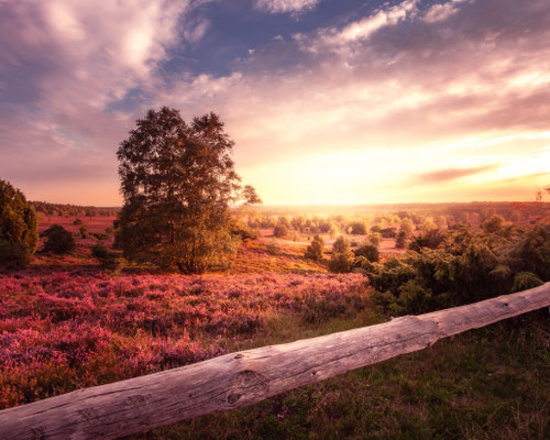 Sonnenuntergang am Wilseder Berg in der Lüneburger Heide