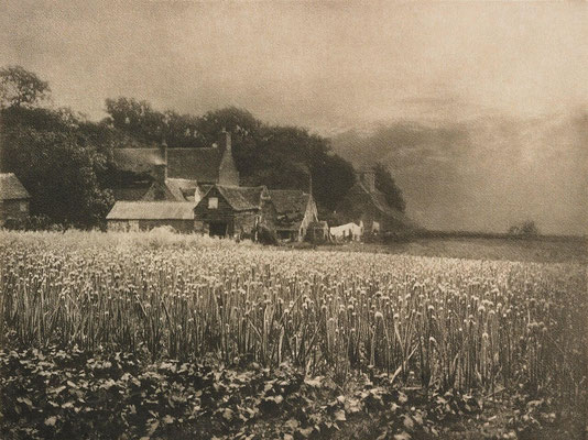 George Davison (1854-1930), The Onion Field, 1890, fotografia stenopeica, riprodotta in “Camera Work”, v. 18, 1907. Public Domain, https://commons.wikimedia.org/w/index.php?curid=143939697