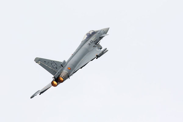 Euro fighter