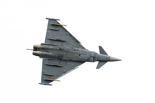 Euro fighter