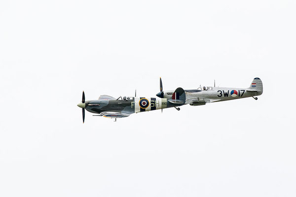Spitfire
