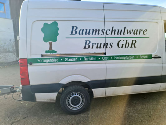 Anlieferung der Pflanzen