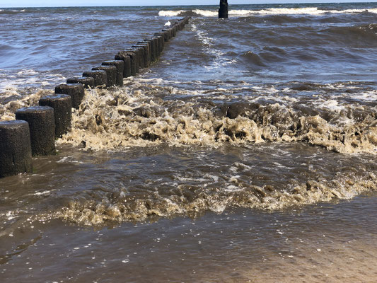 braunes Ostseewasser durch Hochwasser der Oder